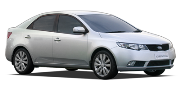 Cerato