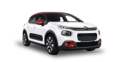 C4 Cactus